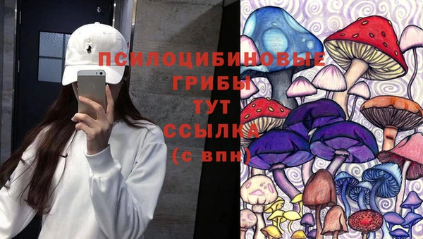 Альфа ПВП Абдулино