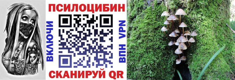 Псилоцибиновые грибы прущие грибы  где можно купить   kraken tor  Струнино 
